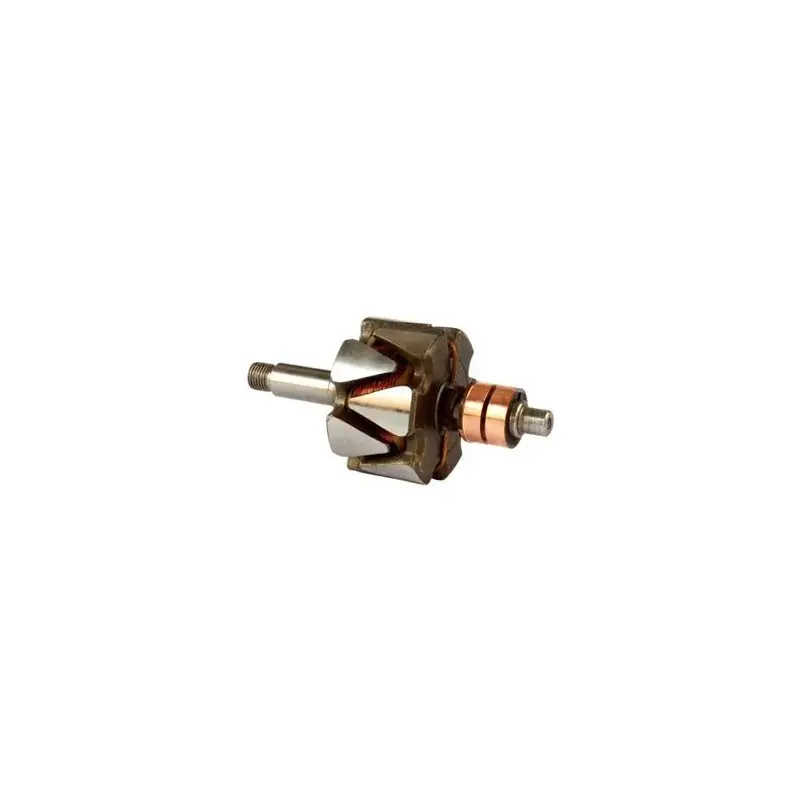 Livraison Gratuite Rotor pour alternateur Bosch 0120300550 / 0120300551 / 0120300568