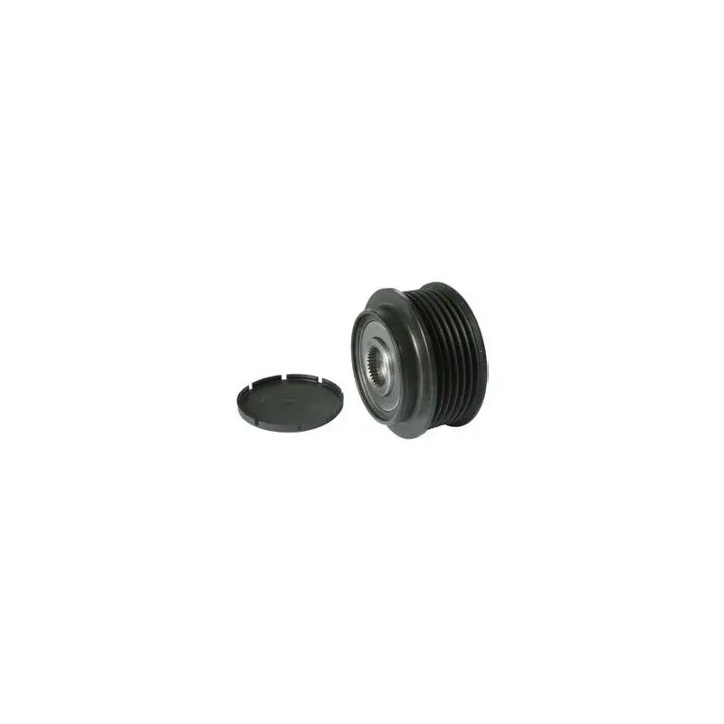 Poulie débrayable pour alternateur Bosch 0123520004 Réduction