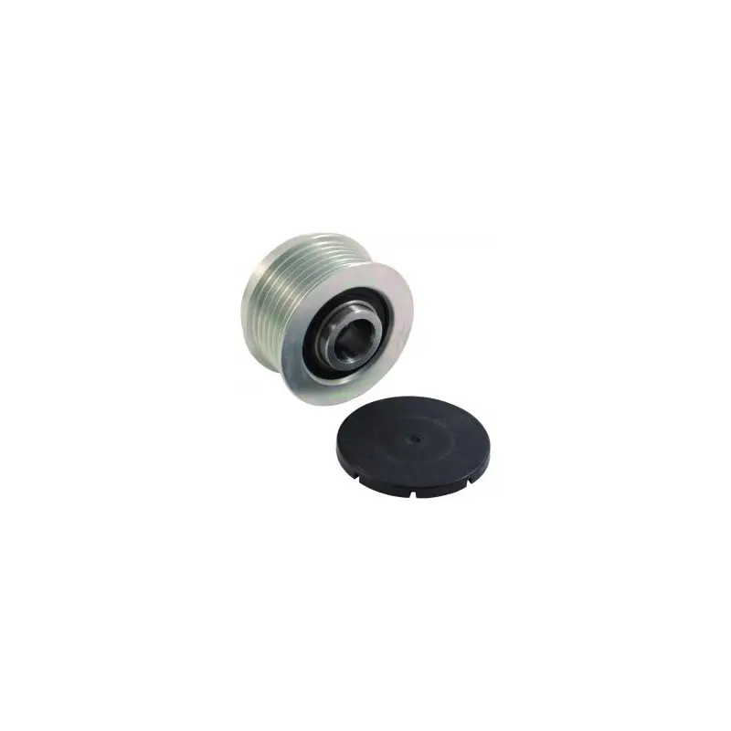 Poulie débrayable pour alternateur Valeo SG12B010 / SG12B012 / SG12B049 Commande En Gros