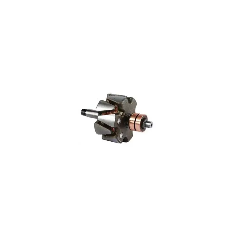 Rotor pour alternateur Ducellier 7548A / 7585AB / 7585C Nouvel Arrivage