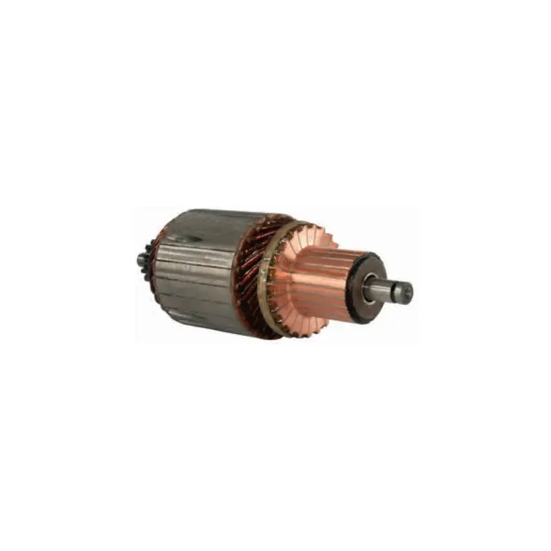 Induit pour démarreur Bosch 0001231001 / 0001231002 / 0001231003 Super Prix