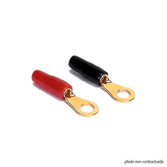 Offre Spéciale 4 Cosses œillet DIA – RDI