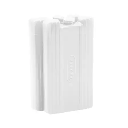 Petit Prix Pains de glace. 2 blocs de 440 grammes