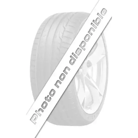 Livraison Express PneuGOODYEAR 165-65R13 77T ECOMPACT
