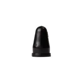 Authentique Clips de fixation pour monogramme arrière RENAULT SPORT Clio II R.S.