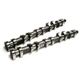 Arbre à cames CAT CAMS 268°/263° moteur F4R 830 pour RENAULT Clio III RS (avec déphasage de la poulie d'arbre à cames) Seulement Aujourd’hui