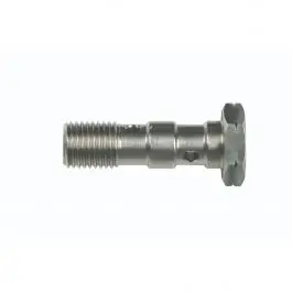 Vis Banjo GOODRIDGE M10 X 1.25 en Inox Nouvelle Collection