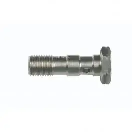 Vis Banjo GOODRIDGE M10 X 1.00 Court en Inox Affaire À Saisir