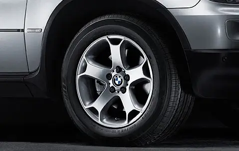 Promotion Jante Style 131 à rayons en Y pour BMW X5 E53