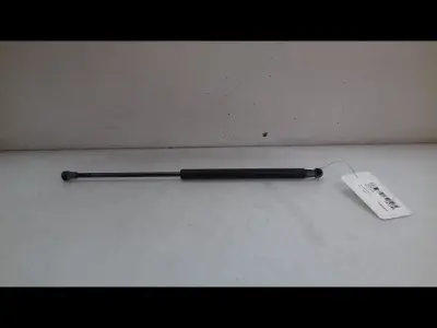 Achat Immédiat VERIN D HAYON