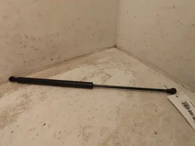 Achetez Aujourd’hui VERIN D HAYON