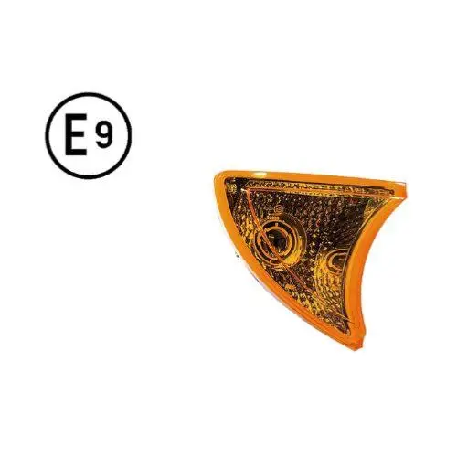 Dernière Chance Feu latéral droit pour IVECO EUROCARGO TECTOR MY2008 75-120 depuis 2012, homologué E9, Neuf