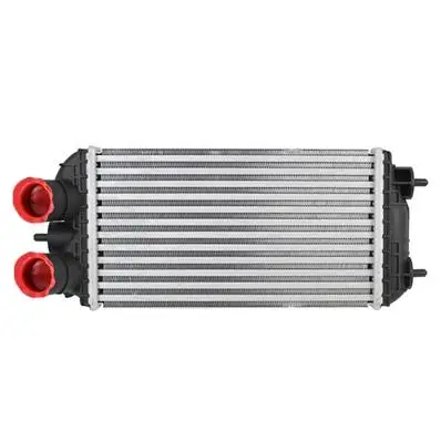 Intercooler pour PEUGEOT 208 II ph.1 2019-2023, OEM: 9824742280, Neuf Prix Cassé
