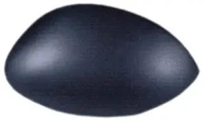 Coque rétroviseur droit pour CITROËN C2 phase 2, 2008-2010, noire, Neuve Expédié Aujourd’hui